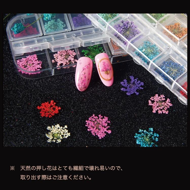 ドライフラワー 押し花 フラワー 12カラー セット ネイル 花 12色 ネイル用品 ホイル ジェル ネイル レジン パーツの埋め込みに｜orangecoco｜05