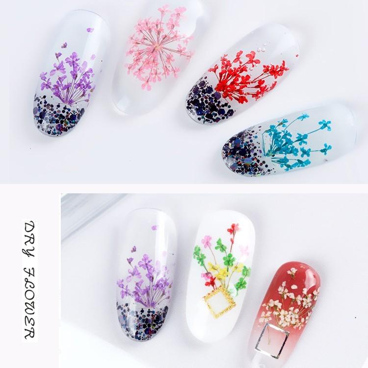 ドライフラワー 押し花 フラワー 12カラー セット ネイル 花 12色 ネイル用品 ホイル ジェル ネイル レジン パーツの埋め込みに Coco Nail Hanaset1 オレンジcocoヤフー店 通販 Yahoo ショッピング