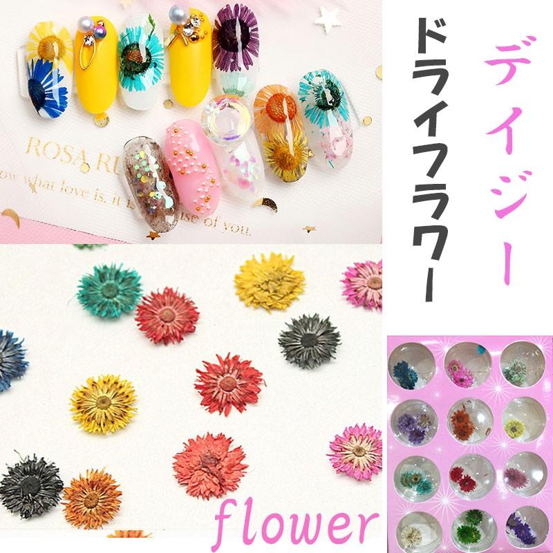 フラワー 押し花 12カラーセット デイジー ドライフラワー ネイル 花 12色自由選べる ネイル用品 ホイル ジェルネイル レジンパーツの埋め込みに Coco Nail Hanaset3 オレンジcocoヤフー店 通販 Yahoo ショッピング