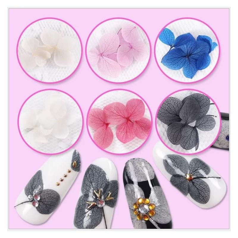 フラワー 押し花 12カラー 紫陽花 アジサイ あじさい セット ドライフラワー ネイル 花 12色 ネイル用品 ホイル ジェルネイル レジンパーツの埋め込みに Coco Nail Hanaset5 オレンジcocoヤフー店 通販 Yahoo ショッピング