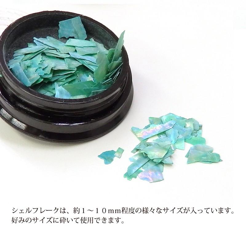 ネイルアート シェルフレーク セルフネイル ジェルネイル |  | 02
