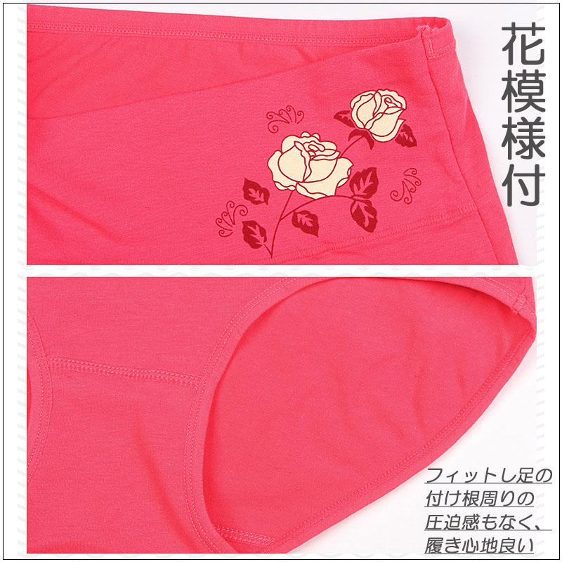 5枚セット ショーツ レディース 綿 深め 深履き 女性 インナー パンツ 下着 伸縮性 フィット感 大きい リラックス セット |  | 13
