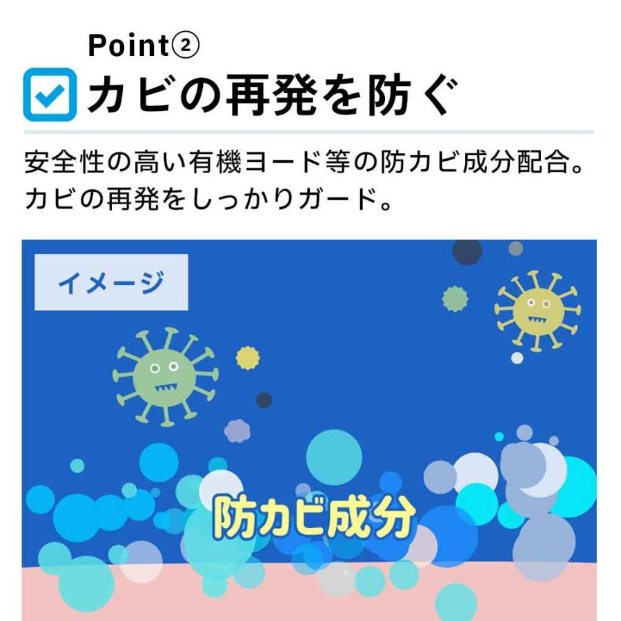 カビ取り＆クリーナー 70ml 革製品用 カビ落とし カビ予防 防カビ剤 |  | 03
