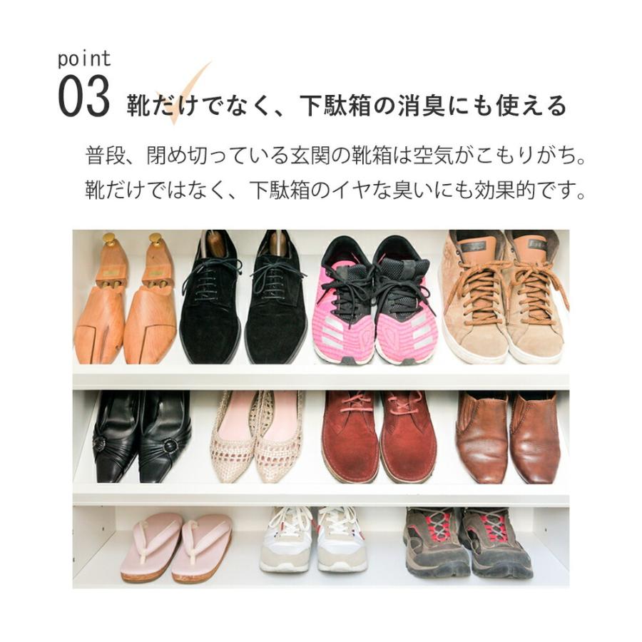 消臭スプレー 日本製 ヴィオラ デオドラントスプレー 180ml 靴の中用 除菌消臭 |  | 07