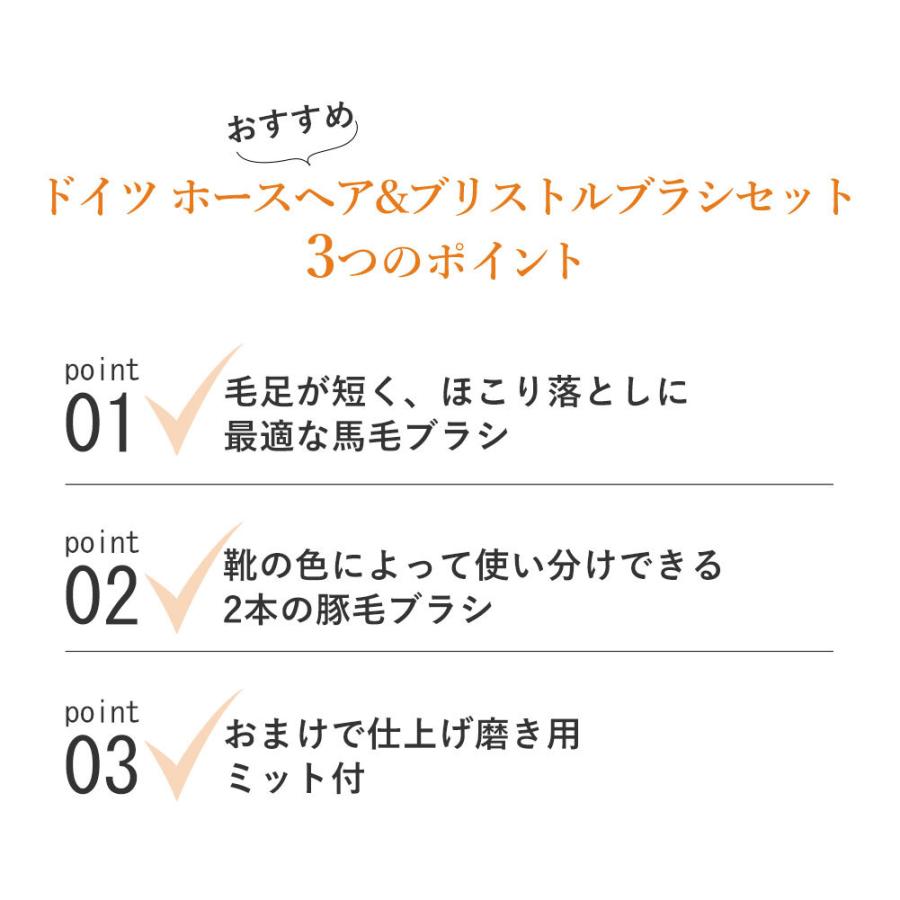 シューケアセット ドイツ ホースヘア&ブリストルブラシット ミット付