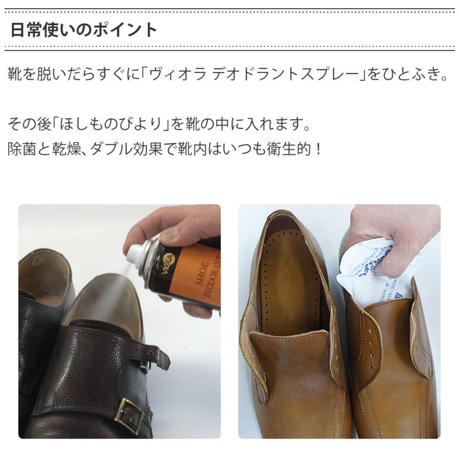 靴用 乾燥剤 ほしものびより 靴 除湿 繰り返し使える : オレンジヒール