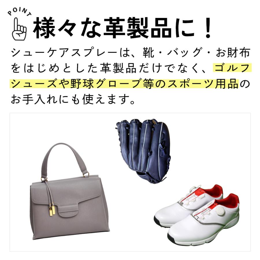 シューケアセット JEWEL お手軽＆簡単 靴磨きセット 4点入り 革靴 革製品 スニーカー |  | 06