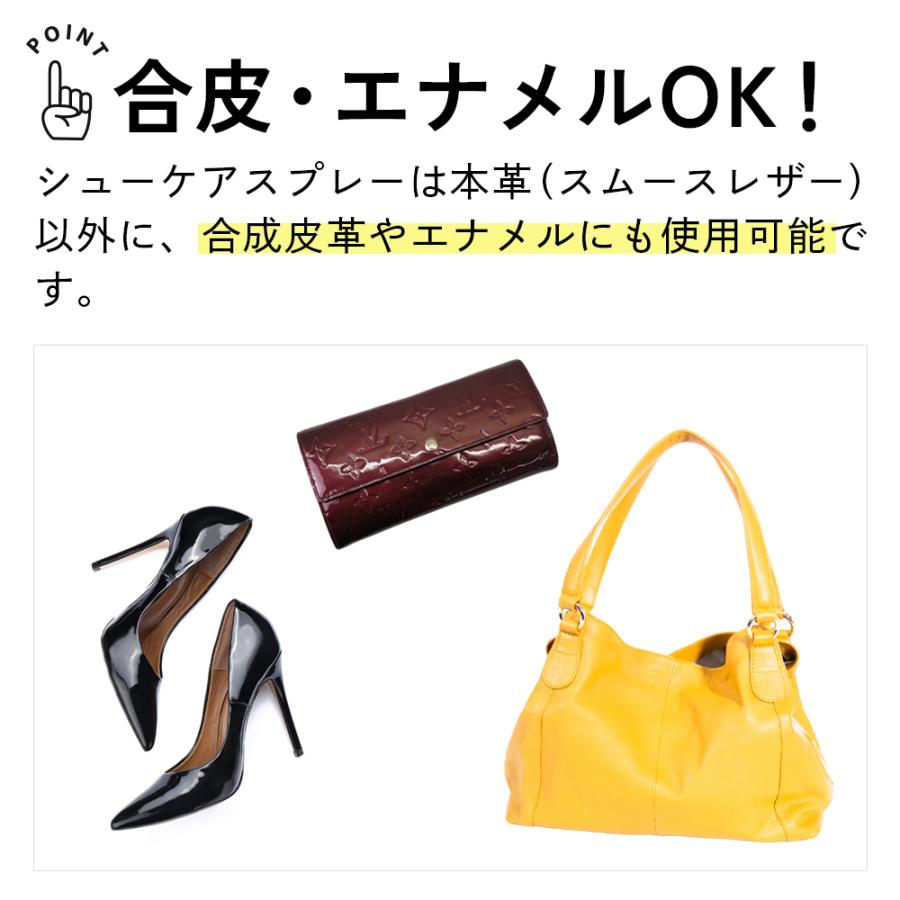 シューケアセット JEWEL お手軽＆簡単 靴磨きセット 4点入り 革靴 革製品 スニーカー |  | 07