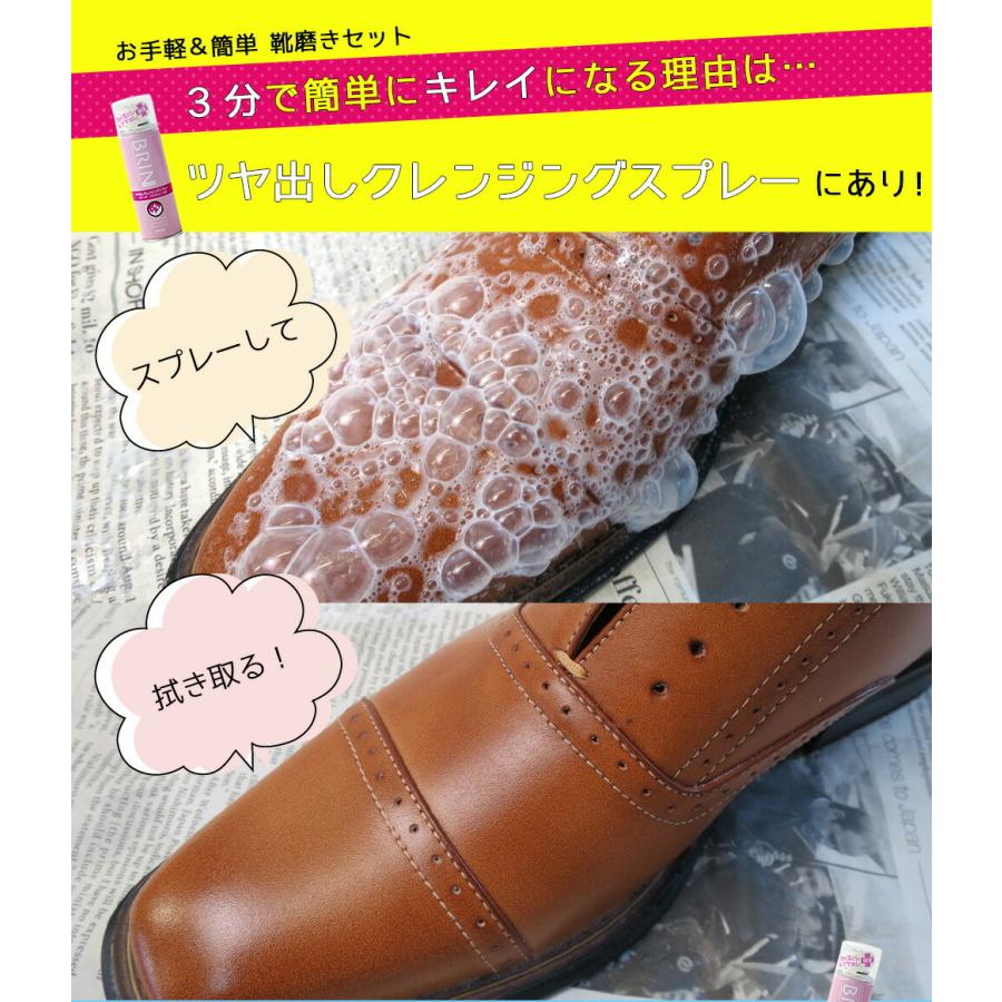 シューケアセット Jewel お手軽 簡単 靴磨きセット 4点入り 革靴 革製品 スニーカー オレンジヒール 通販 Yahoo ショッピング