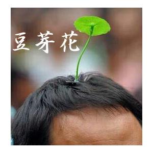 Newタイプ 豆芽花 菜苗花 ドウヤーファー 中国で大ブームのもやしの芽が日本に初上陸 ネコポス便は送料無料 楽天市場で限定販売 キノコ Doya2 オレンジマミー 通販 Yahoo ショッピング