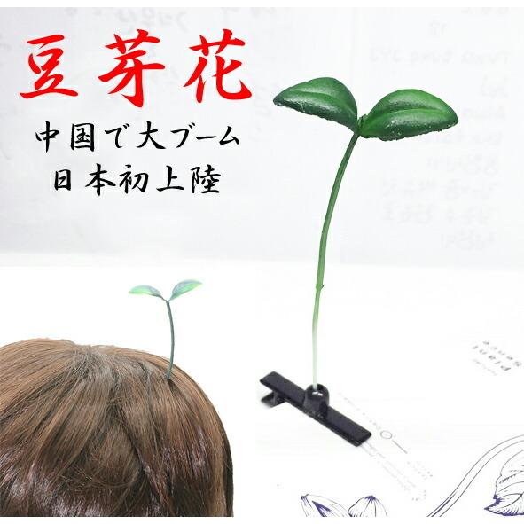 豆芽花 菜苗花 ドウヤーファー 中国で大ブームのもやしの芽が日本に初上陸 ネコポス便は送料無料 楽天市場で限定販売 Doyan オレンジマミー 通販 Yahoo ショッピング