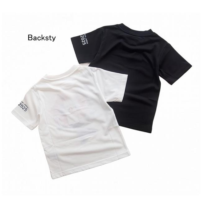 大阪 関西 万博 アセアン Tシャツ 大阪 関西 万博 アセアン Tシャツ 大阪・関西万博×PASONAオフィシャル