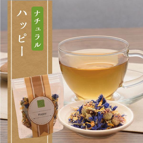 ギフト商品（産地別紅茶・ナチュラルハーブティー ）　Bセット |  | 04