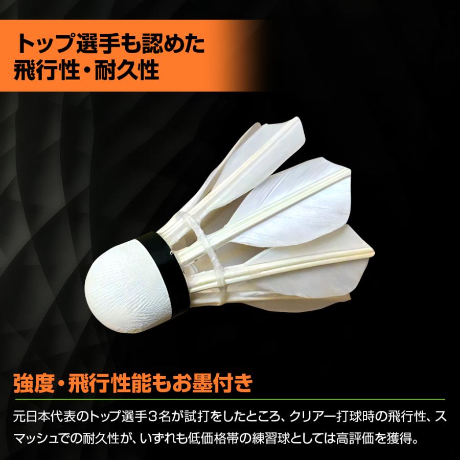 最短発送 アーウィン バドミントンシャトル エコエイト / 2ダース ECO