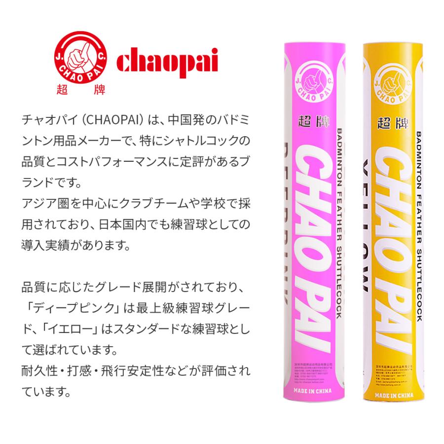 チャオパイ バドミントンシャトル イエロー / 5ダース CP-1507 練習球