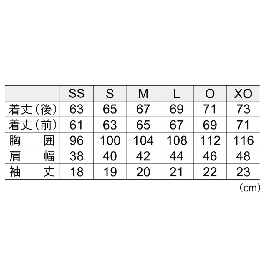 GOSEN（ゴーセン） バドミントン ゲームシャツ T2602 ユニ 男女兼用