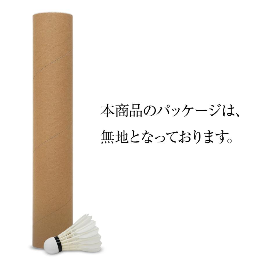 アイベックスポーツ バドミントンシャトル ウルトラ / 10ダース NB