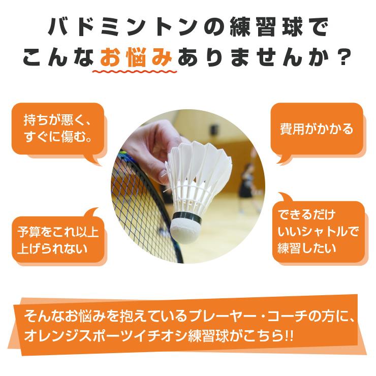 当店イチオシ!! バドミントン シャトル NS6 高耐久練習シャトル 当店イチオシ!! バドミントン シャトル NS6 高耐久練習シャトル