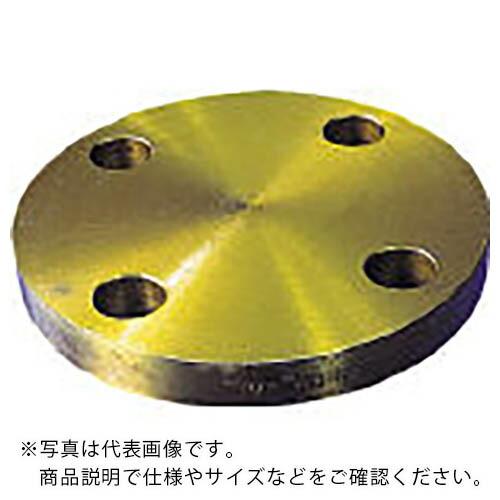 SS400 ブラインドフランジ BLFF JIS10K 125A (5B) | 