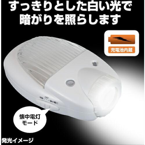 ELPA LEDセンサーライト ( TDH-300 ) |  | 04