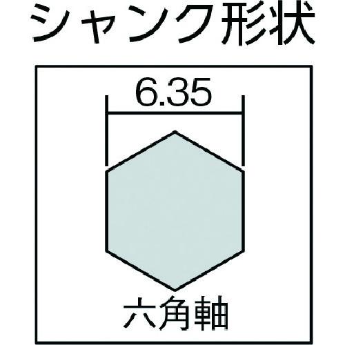 アクリサンデー アクリ専用ビット  (BT-3) |  | 01