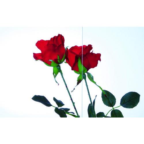 アクリサンデー アクリ表面硬化板透明550x650x5mm (MR2-001-M-5) |  | 01