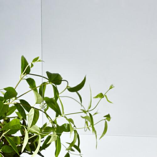 アクリサンデー アクリ表面硬化板透明550x650x5mm (MR2-001-M-5) |  | 02