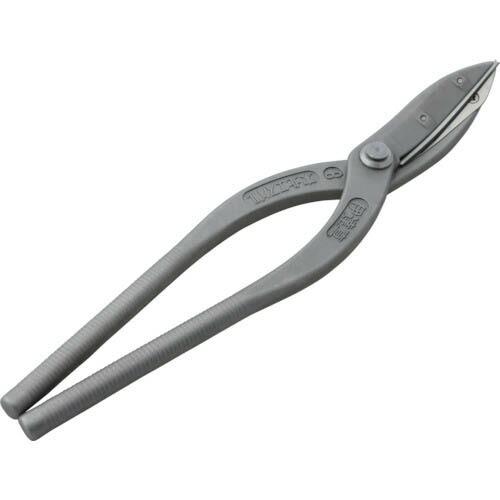 盛光 伊達 真 ( TESN-0270 )