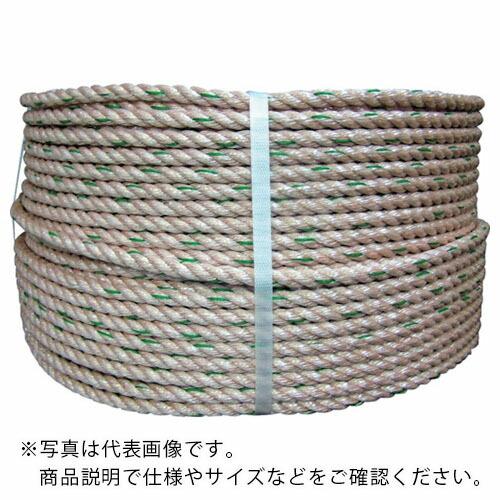 掛軸 馬場汀舟作  俳句高浜虚子句「春」853 掛軸 馬場汀舟作 俳句高浜虚子句「春」853