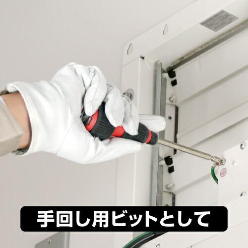 【SALE価格】アネックス 差替+-ビット2本組 +2×-6×85 ( 395-DB2S ) (株)兼古製作所 |  | 01