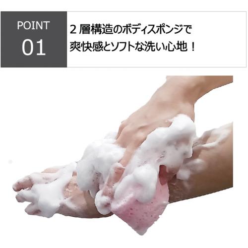 キクロン ファイン ダブルボディスポンジ  ( 201051 ) キクロン(株) |  | 03