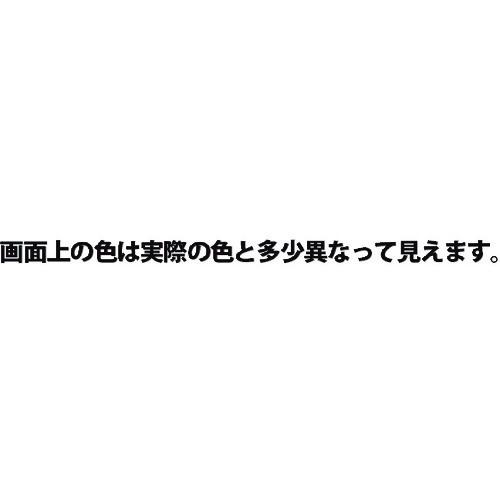 KANSAI 油性シリコンラッカースプレー とうめい 420ML ( 00587644002420 ) |  | 01