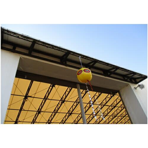 TRUSCO 防鳥用めだま風船 ( EBB ) |  | 01