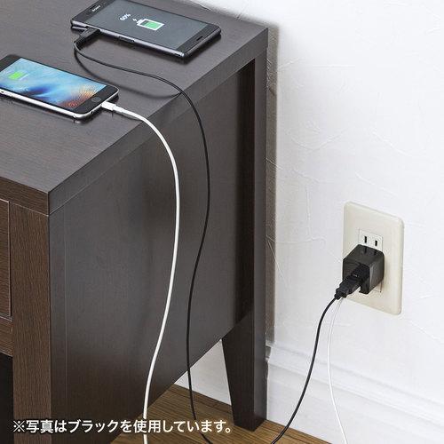 SANWA USB充電器(2ポート・合計2.4A・ホワイト) ( ACA-IP44W ) |  | 01