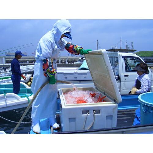 ダイライト 保冷容器 クールボックス 200L ロング ホワイト ( COOLBOX200LONG ) |  | 01