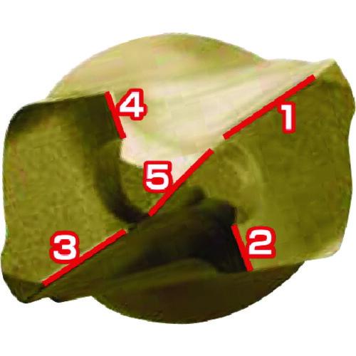 サンコー テクノ パワーSDS PWLタイプ 刃径3.5mm ( PWL-3.5X160P ) サンコーテクノ(株) |  | 01