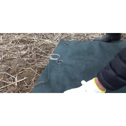 浅野木工所 フラット杭 35XL150 ( 65040 ) (500本セット) (有)浅野木工所 |  | 04