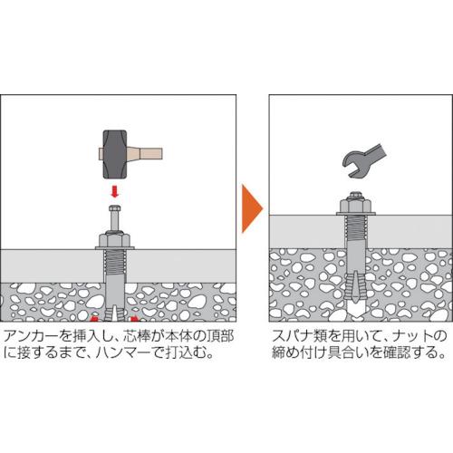 TRUSCO オールアンカーSCタイプ ステンレス M10X60 6本入 (コンクリート用アンカー/芯棒打込み式 ) ( SC-1060BT (M10X60 ステンレス6ポンイリ) ) |  | 02
