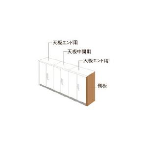 PLUS 648923)L6 ナチュラルパネル ( L6-NPS1140-K T2 ) (メーカー取寄) | 
