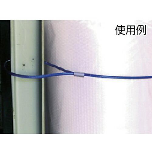 【SALE価格】TRUSCO メッキ付ワイヤーロープ PVC被覆タイプ Φ3(5)mmX10m ( CWP-3S10 (3MMX10M) ) トラスコ中山(株) |  | 02