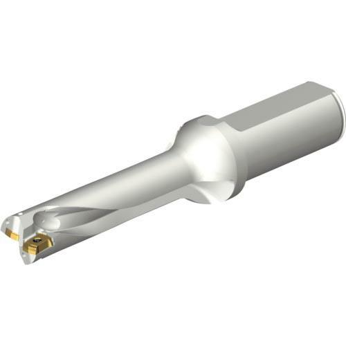 SANDVIK ( サンドビック ) コロドリルDS20刃先交換式ドリル(465) ( DS20-D1900L25-04 (465) )