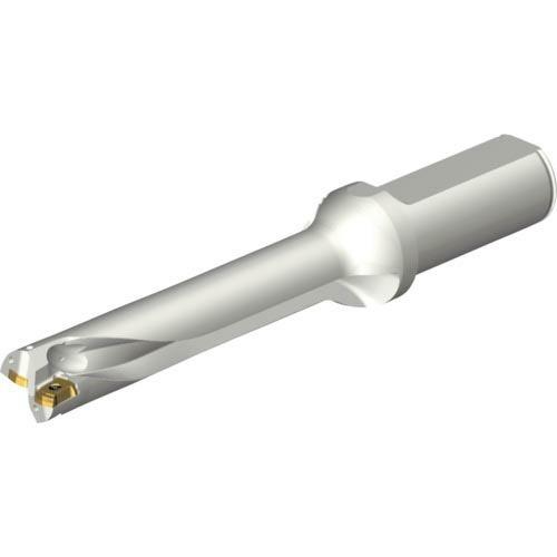 SANDVIK コロドリルDS20刃先交換式ドリル(465) ( DS20-D2000L25-05