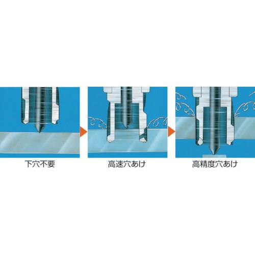 日東　アトラエース　クイックオート(24731)　QA-4000-200V　日東工器(株)