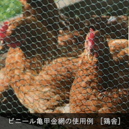 DAIDОHANT ビニール 亀甲金網 線径0.85x目10mm 幅910mm x 長さ30M巻 ( 10160220 ) (株)ダイドーハント (メーカー取寄) |  | 04