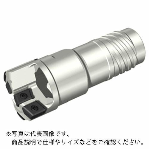 タンガロイ FINE-BEAM ソリッドドリルヘッド STS-EX ( FNBM-04S-30.00 )