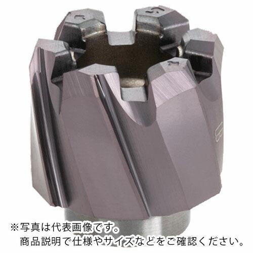 タンガロイ 貫通穴用左ねじれ溝付きリーマヘッド(H7公差加工用) AH725 ( HRM-20.001-BL-T8 ) (株)タンガロイ (メーカー取寄)