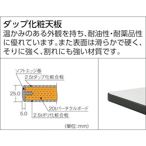 TRUSCO 中荷重作業台(500kg)AEW型 1200X750XH740 基本タイプ ダークグレー色 ( AEWP-1275 (1200X750MM 500KG) ) トラスコ中山(株) |  | 02