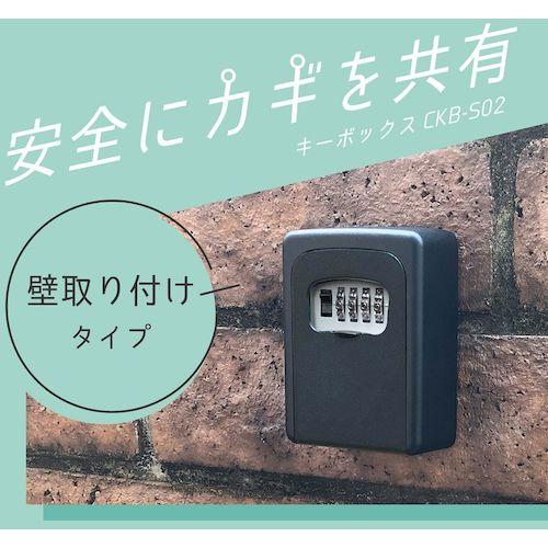 カール キーボックス(壁取り付けタイプ) ブラック ( CKB-S02-K ) カール事務器(株) |  | 01