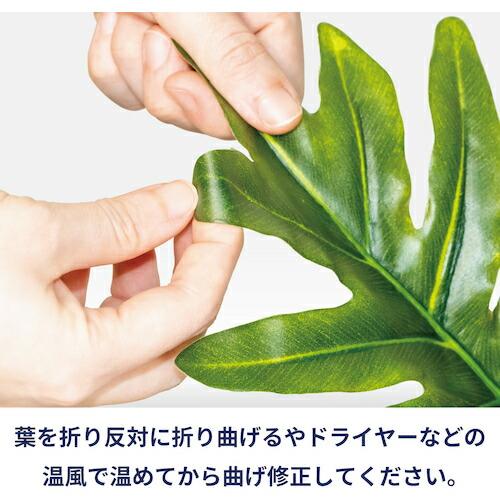 リレヤ 人工観葉植物 モンステラ(中)  ( WD-03 ) 藤沢工業(株) (メーカー取寄) |  | 04
