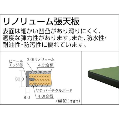 TRUSCO ( トラスコ中山 )　中荷重作業台（１２００ｋｇ）ＨＷ型　９００Ｘ６００ＸＨ７４０　バイス付　グリーン色 ( RHW-0960VRS )